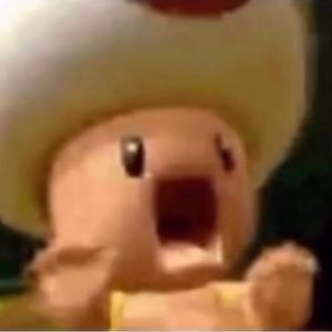 Meet your Posher, Adam